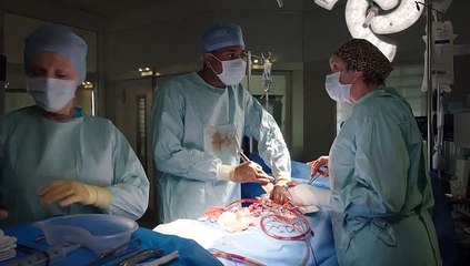 Holby City S21E27 Flying Solo