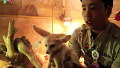 신시가지출장안마 -후불100%ョØ7ØS7301S9649｛카톡ZF66｝ 신시가지전지역출장안마 신시가지오피걸 신시가지출장마사지 신시가지안마 신시가지출장마사지 신시가지콜걸샵ЪЫЬ