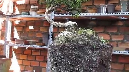 해남출장안마 -후불100%ョØ1ØS2671S8135｛카톡AQ52｝ 해남전지역출장안마 해남오피걸 해남출장마사지 해남안마 해남출장마사지 해남콜걸샵トドナ