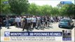 300 personnes se sont réunies ce dimanche en soutien aux proches de la femme tuée par un chauffard à Montpellier