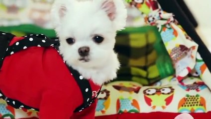 부여출장안마 -후불100%ョØ1ØE6706E9275｛카톡ZU69｝ 부여전지역출장안마 부여오피걸 부여출장마사지 부여안마 부여출장마사지 부여콜걸샵ェエォ