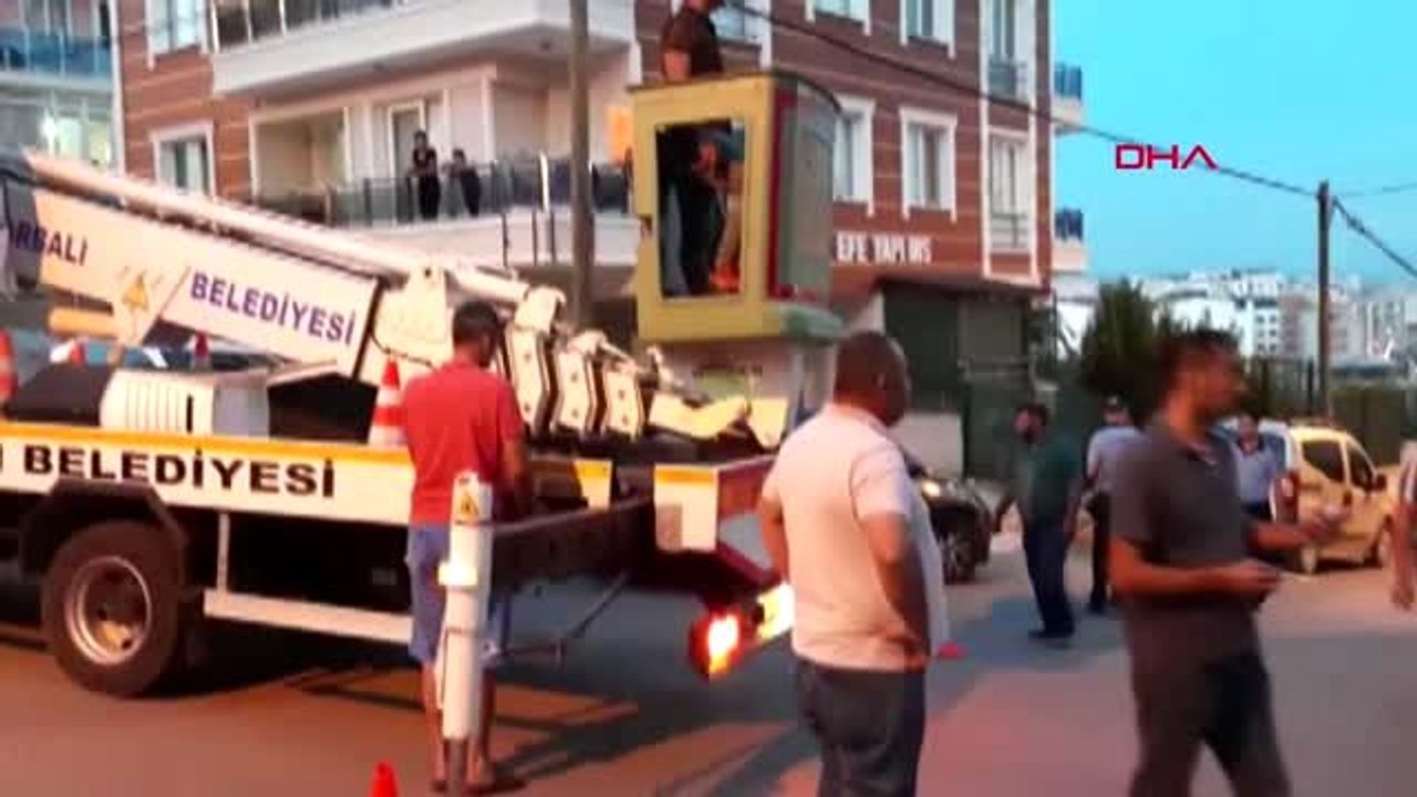 ANTALYA Yaralı eşeği halıya sarıp ölüme terk ettiler