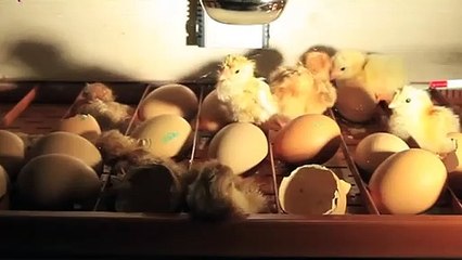 밀양출장안마 -후불100%ョØ1ØA7685A6221｛카톡MGM1472｝ 밀양전지역출장안마 밀양오피걸 밀양출장마사지 밀양안마 밀양출장마사지 밀양콜걸샵ヮワヰ