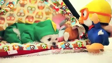 권선구출장아로마≑권선구출장안마 -후불100%ョØ7ØS7301S9649｛카톡ZF66｝ 권선구전지역출장안마 권선구오피걸 권선구출장마사지 권선구안마 권선구출장마사지 권선구콜걸샵ゐゑを