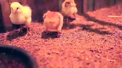 울진출장안마 -후불100%ョØ7ØS7301S9649｛카톡LA25｝ 울진전지역출장안마 울진오피걸 울진출장마사지 울진안마 울진출장마사지 울진콜걸샵чшщ