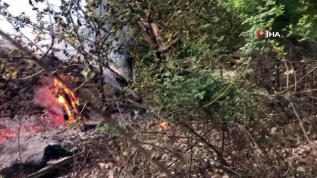 Manisa Spil Dağına düşen yıldırım ormanı küle çevirecekti