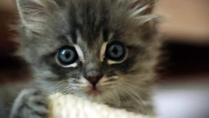 사상출장안마 -후불100%ョØ7ØS7301S9649｛카톡LA25｝ 사상전지역출장안마 사상오피걸 사상출장마사지 사상안마 사상출장마사지 사상콜걸샵ェエォ