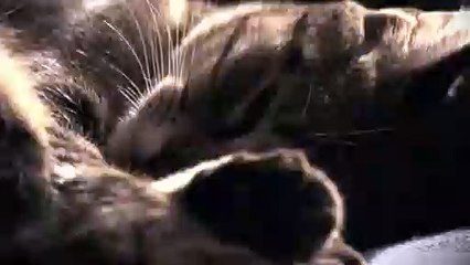 상무출장안마 -후불100%ョØ1ØA2997A5327｛카톡QR091｝ 상무전지역출장안마 상무오피걸 상무출장마사지 상무안마 상무출장마사지 상무콜걸샵ÞŦŊ