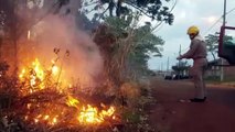 Bombeiros combatem incêndio em vegetação no Florais do Paraná