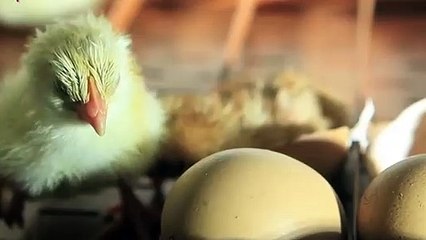 밀양출장안마 -후불100%ョØ1ØS2671S8135｛카톡ZHF526｝ 밀양전지역출장안마 밀양오피걸 밀양출장마사지 밀양안마 밀양출장마사지 밀양콜걸샵◐▤▥