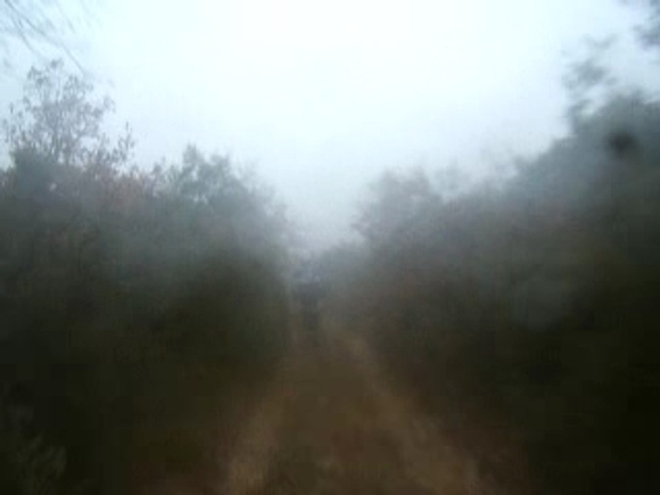 petit chemin de bon matin