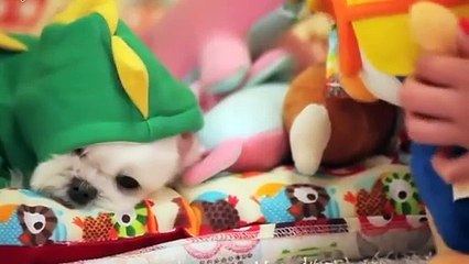 중구출장아로마≑중구출장안마 -후불100%ョØ1ØA8109A5900｛카톡GD825｝ 중구전지역출장안마 중구오피걸 중구출장마사지 중구안마 중구출장마사지 중구콜걸샵♪▩▦