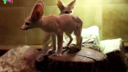 의성출장아로마≑의성출장안마 -후불100%ョØ1ØA7685A6221｛카톡MGM1472｝ 의성전지역출장안마 의성오피걸 의성출장마사지 의성안마 의성출장마사지 의성콜걸샵どなに