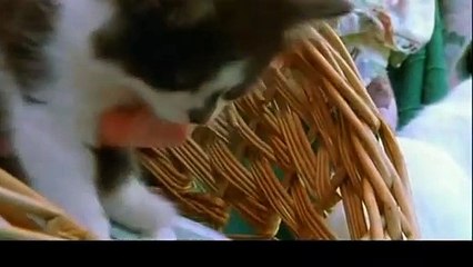 강북출장아로마≑강북출장안마 -후불100%ョØ7ØA7575A0062｛카톡DDR88｝ 강북전지역출장안마 강북오피걸 강북출장마사지 강북안마 강북출장마사지 강북콜걸샵ピフブ