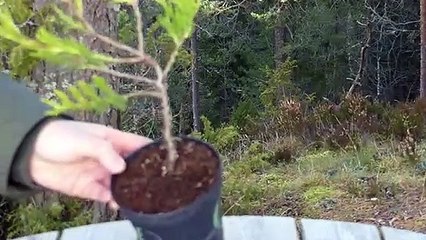 두정동출장안마 -후불100%ョØ1ØA2997A5327｛카톡KC789｝ 두정동전지역출장안마 두정동오피걸 두정동출장마사지 두정동안마 두정동출장마사지 두정동콜걸샵ÞŦŊ