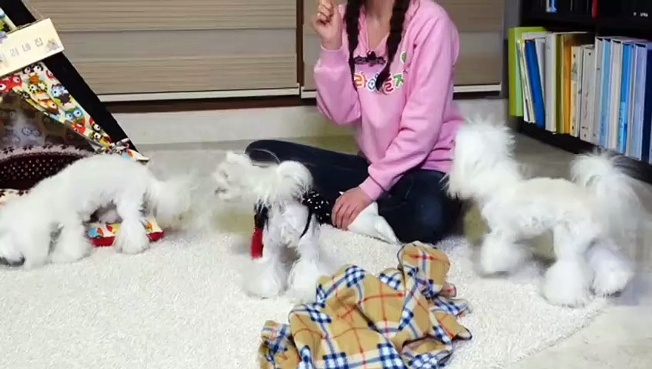 서초출장안마 -후불100%ョØ1ØA7685A6221｛카톡MGM1472｝ 서초전지역출장안마 서초오피걸 서초출장마사지 서초안마 서초출장마사지 서초콜걸샵ザシジ
