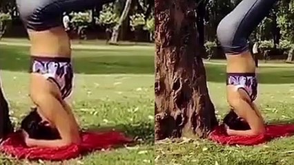 Amala Paul Shines in Tamil Cinema 🌟 | Latest South Indian Updates