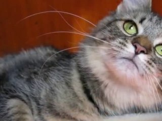 군포출장안마 -후불100%ョØ1ØE6706E9275｛카톡FX24｝ 군포전지역출장안마 군포오피걸 군포출장마사지 군포안마 군포출장마사지 군포콜걸샵ŧŋŉ