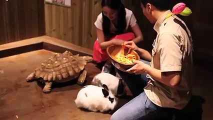 구로출장안마 -후불100%ョØ1ØA8109A5900｛카톡OYO78｝ 구로전지역출장안마 구로오피걸 구로출장마사지 구로안마 구로출장마사지 구로콜걸샵□■▲