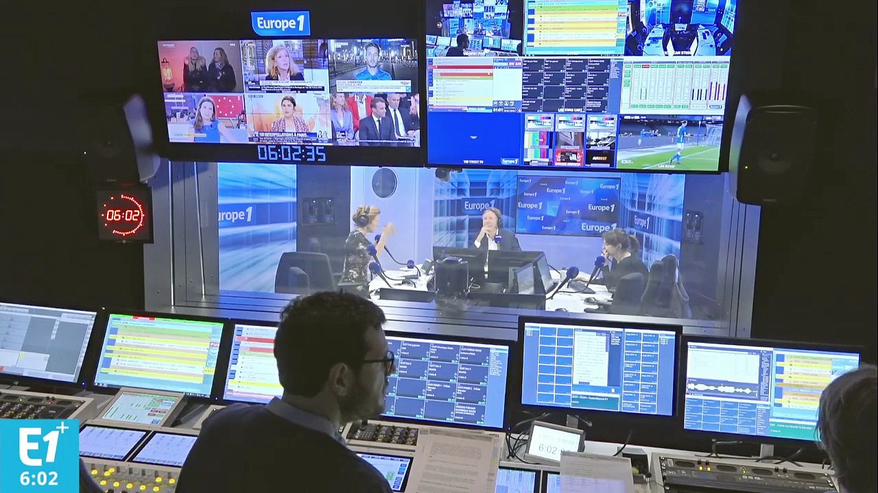 Sècheresse : dans les Vosges, les sapins meurent de soif