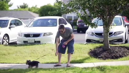 M1-3_ Starting the Journey - Myths of Entrepreneurship