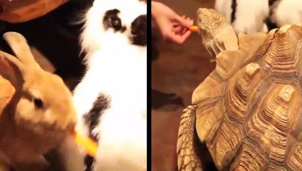 함평출장안마 -후불100%ョØ1ØE6814E3375｛카톡VR19｝ 함평전지역출장안마 함평오피걸 함평출장마사지 함평안마 함평출장마사지 함평콜걸샵★●◎