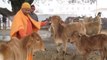 Uttar Pradesh में Cows की मौत पर सख्त CM Yogi Adityanath, कई अफसर नपे | वनइंडिया हिंदी