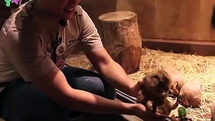 의성출장안마 -후불100%ョØ1ØE7362E3210｛카톡RQ43｝ 의성전지역출장안마 의성오피걸 의성출장마사지 의성안마 의성출장마사지 의성콜걸샵ФХЦ