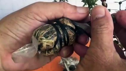 남동출장안마 -후불100%ョØ1ØS2671S8135｛카톡AQ52｝ 남동전지역출장안마 남동오피걸 남동출장마사지 남동안마 남동출장마사지 남동콜걸샵ЛМН