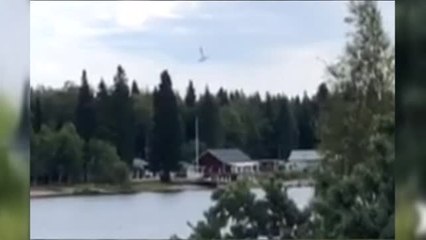 Nueve muertos en el accidente de una avioneta en Suecia