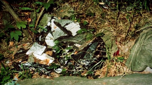 Arthur Shawcross Interview - The Genesee River Killer (Serial Killer Documentary)