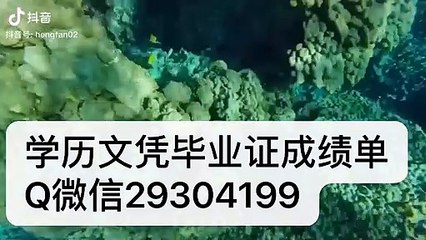 英国伯明翰大学文凭Q/微信29304199英国 UoB毕业证成绩单学位证书文凭学历认证/留信网认证录取通知书,雅思托福成绩单,在读证明//使馆认证公正University of Birmingham