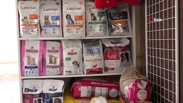 Hayvan sevgisi 21 yıllık öğretmeni veteriner teknikeri yaptı