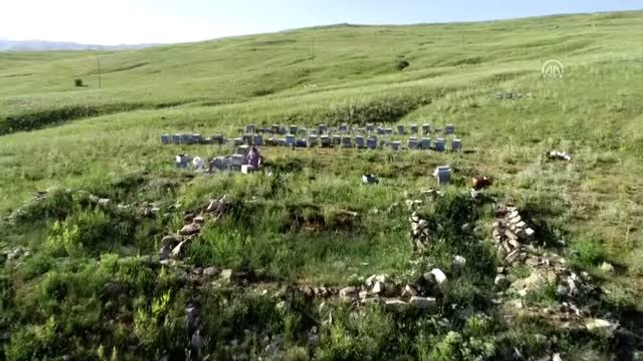 Faraşin Yaylası'nın "lavanta kokulu" balı