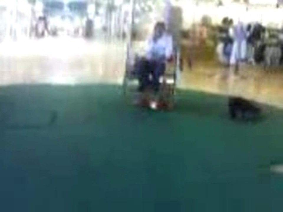 Majid : Sur l'elephant :(