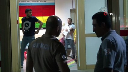 Rize'de nişanda zehirlenenlerin sayısı 231'e yükseldi