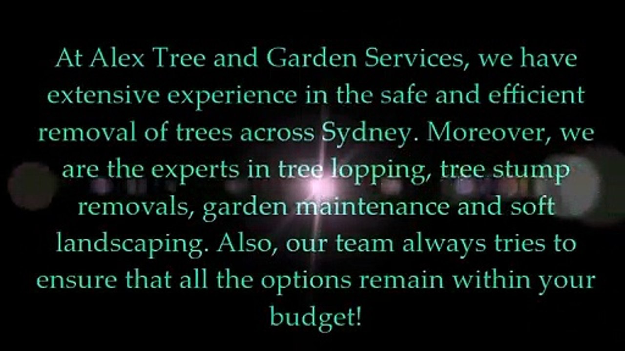 Tree Removal Wahroonga