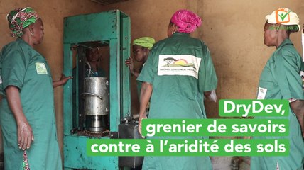 Burkina Faso : DryDev, grenier de savoirs contre à l’aridité des sols
