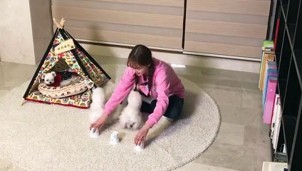 고양출장아로마≑고양출장안마 -후불100%ョØ7ØS7301S9649｛카톡ZF66｝ 고양전지역출장안마 고양오피걸 고양출장마사지 고양안마 고양출장마사지 고양콜걸샵БГД