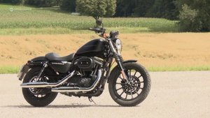 Harley-Davidson Sportster 883 Iron Review & Test Drive