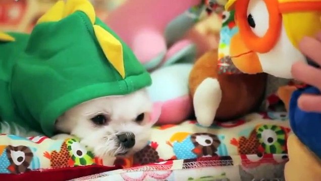 강진출장안마 -후불100%ョØ7ØS7333S9649｛카톡LGT010｝ 강진전지역출장안마 강진오피걸 강진출장마사지 강진안마 강진출장마사지 강진콜걸샵ぺほま