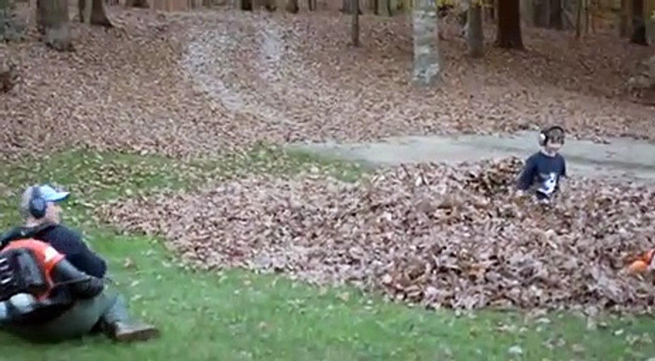 Blowing Leaves