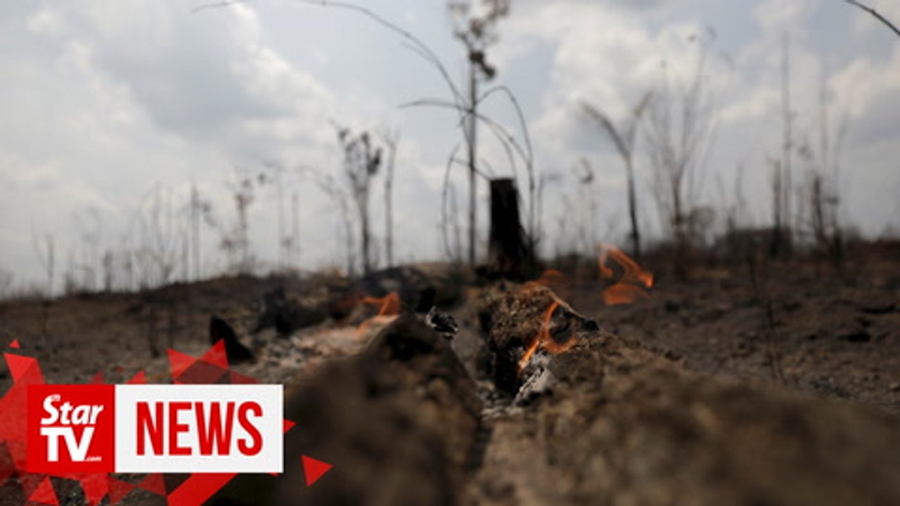 "Ashes to ashes:" Brazil troops begin tackling fires in devastated Amazon