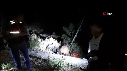 Kestiği ağaç sonu oldu