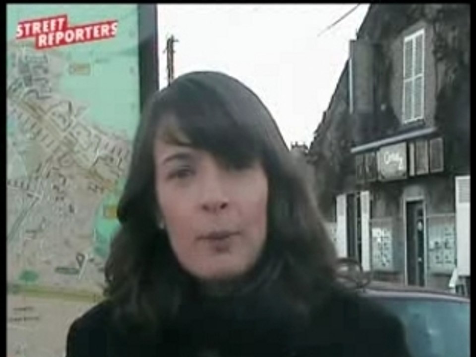 Sophie rigault 22ans candidate UMP aux  cantonales