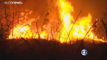 Brasilien: Armee gegen Amazonas-Waldbrände
