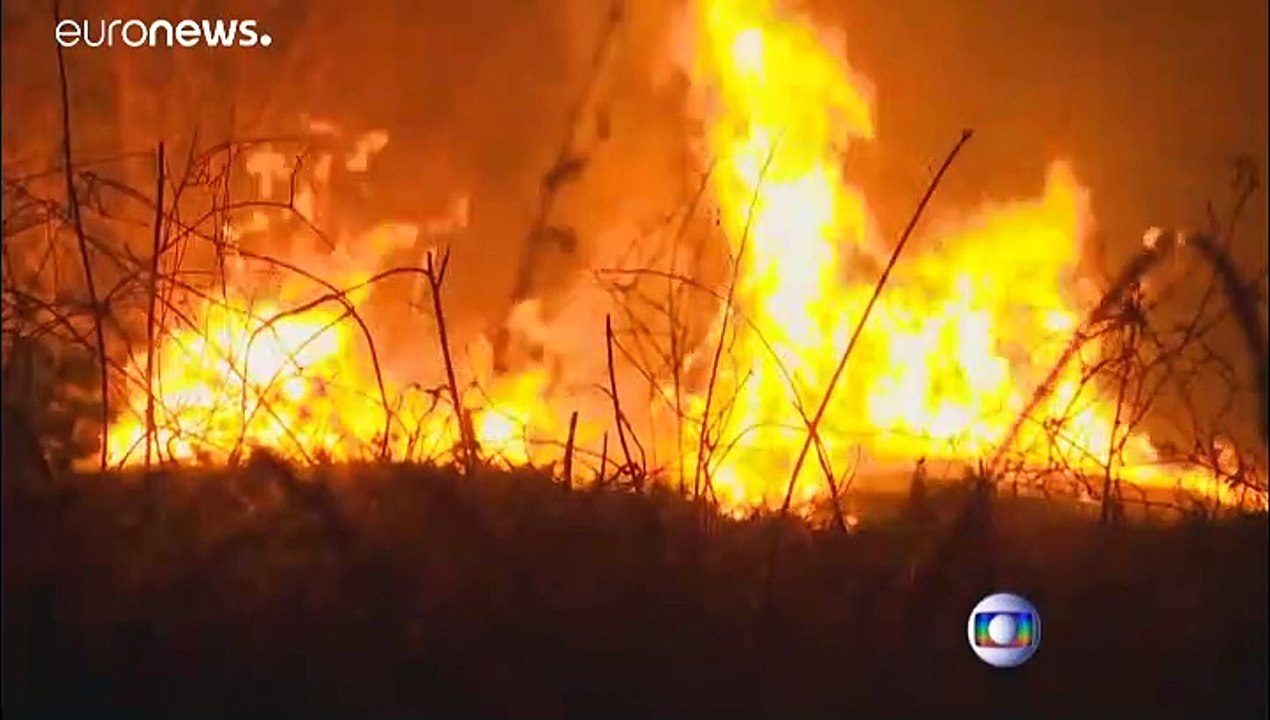 Brasilien: Armee gegen Amazonas-Waldbrände