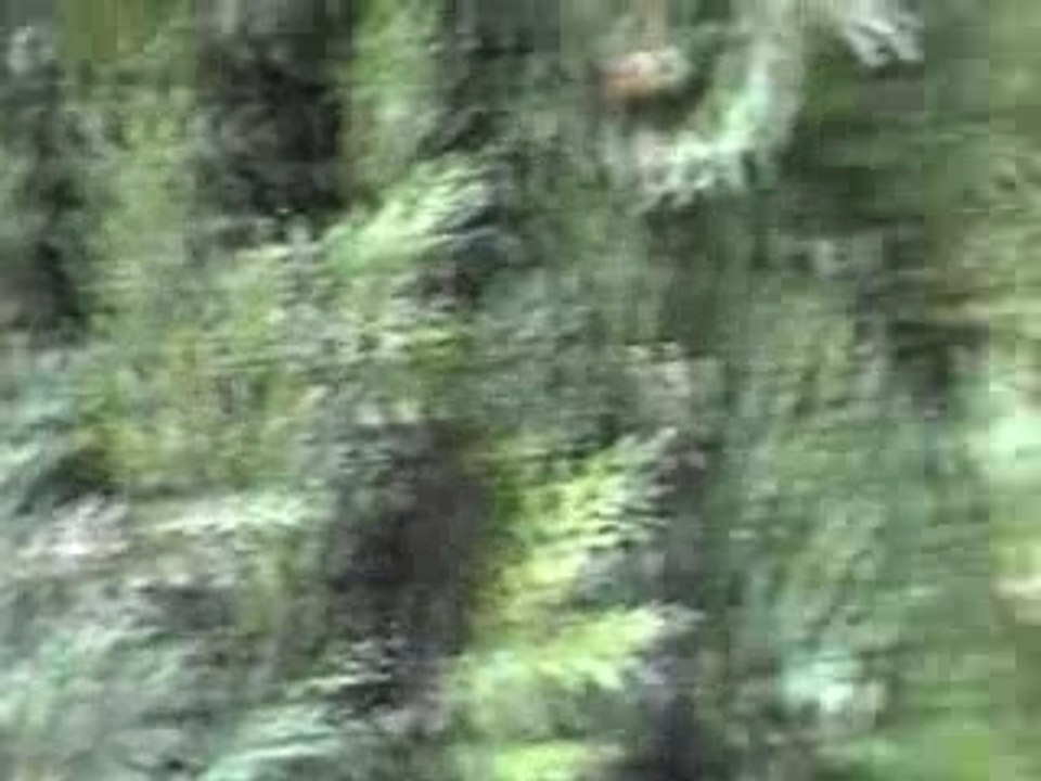 20 000 vieux sous les mers