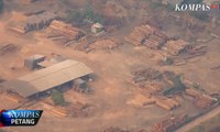 Brasil Kerahkan Pesawat Padamkan Kebakaran Hutan Amazon