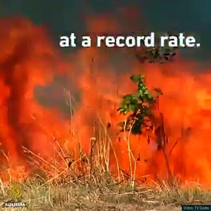 The Amazon helps in slowing down the process of Global Warming. Save Our Earth, save Our Future..